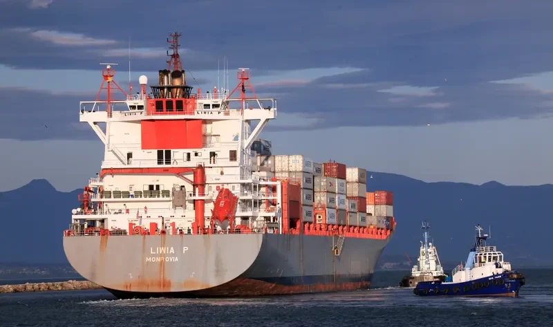 LIWIA P Container Ship IMO 9232759 photo 2