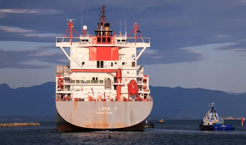 LIWIA P Container Ship IMO 9232759 photo 3