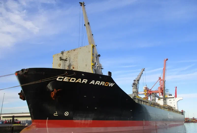 CEDAR ARROW General Cargo IMO 9232802 photo 2