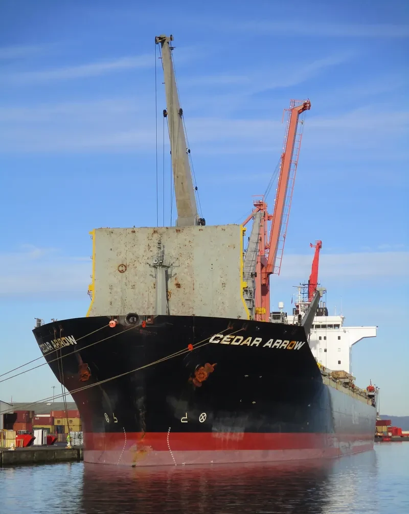 CEDAR ARROW General Cargo IMO 9232802 photo 3