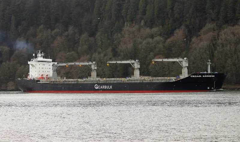 CEDAR ARROW General Cargo IMO 9232802 photo 8