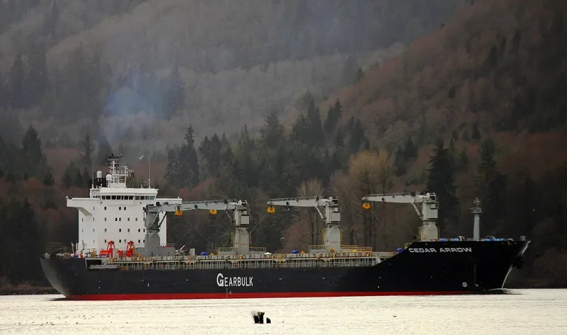 CEDAR ARROW General Cargo IMO 9232802 photo 9