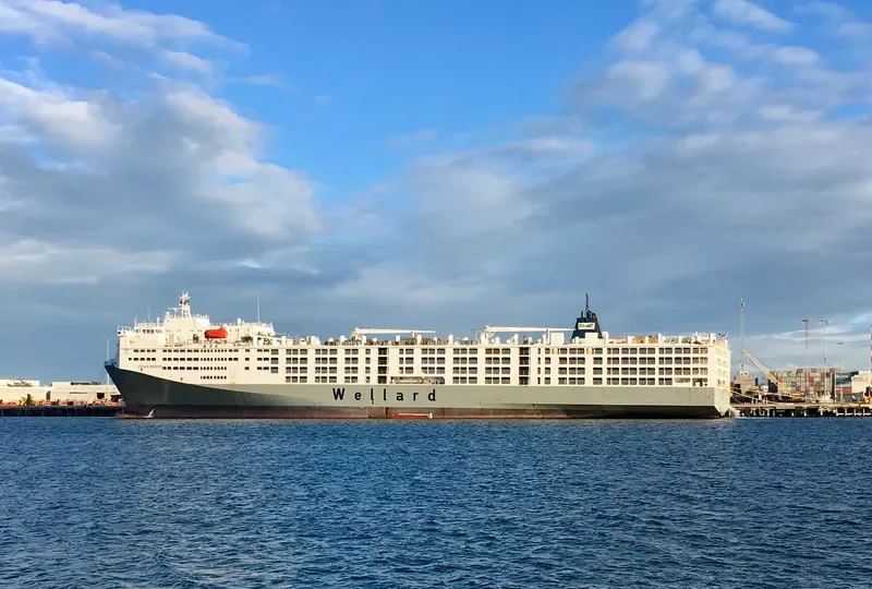 OCEAN DROVER General Cargo IMO 9232852