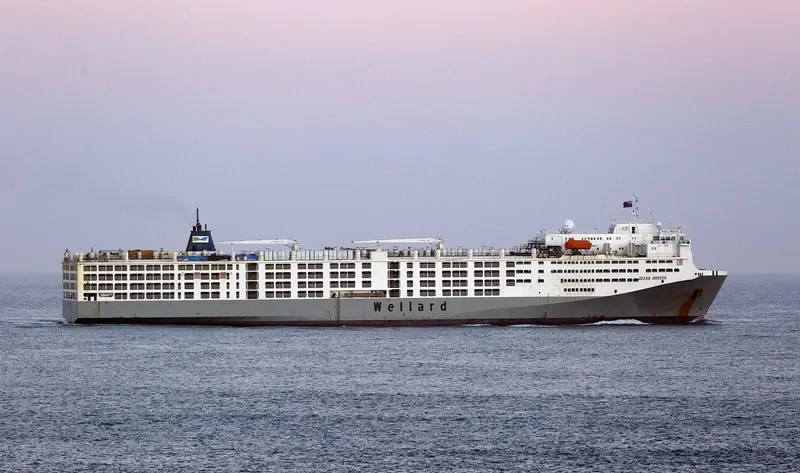 OCEAN DROVER General Cargo IMO 9232852 photo 5