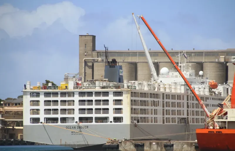 OCEAN DROVER General Cargo IMO 9232852 photo 10