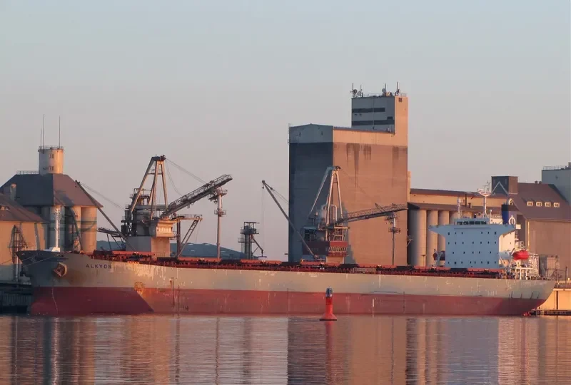 ZHONG XING DA79 Bulk Carrier IMO 9233179 photo 2