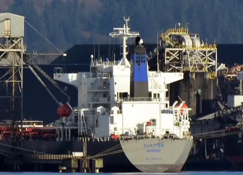 ZHONG XING DA79 Bulk Carrier IMO 9233179 photo 3