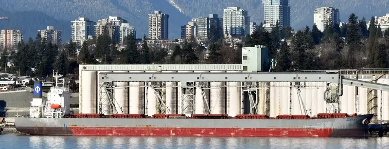 ZHONG XING DA79 Bulk Carrier IMO 9233179 photo 5