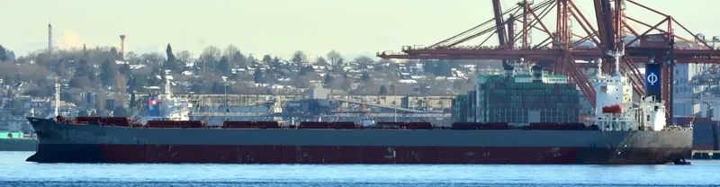 ZHONG XING DA79 Bulk Carrier IMO 9233179 photo 7