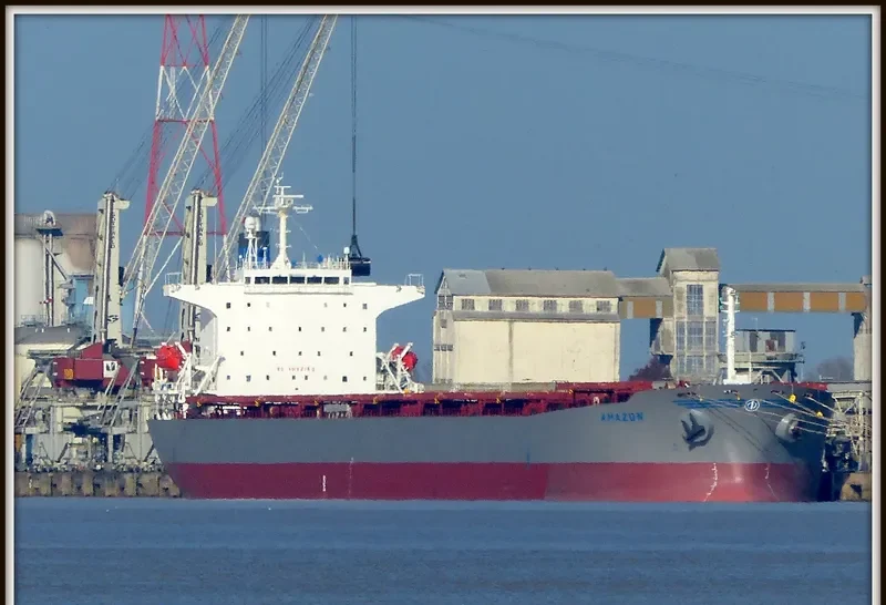 AMAZON Bulk Carrier IMO 9233260 photo 4