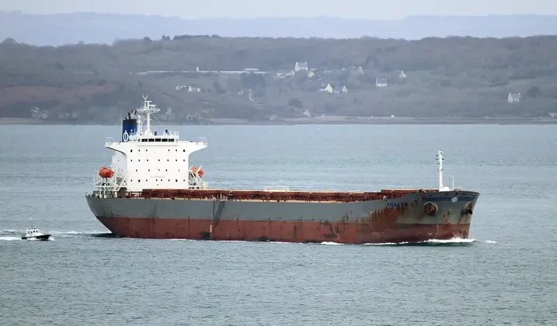AMAZON Bulk Carrier IMO 9233260 photo 8