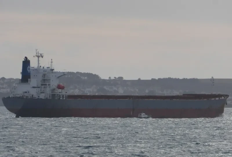 AMAZON Bulk Carrier IMO 9233260 photo 9