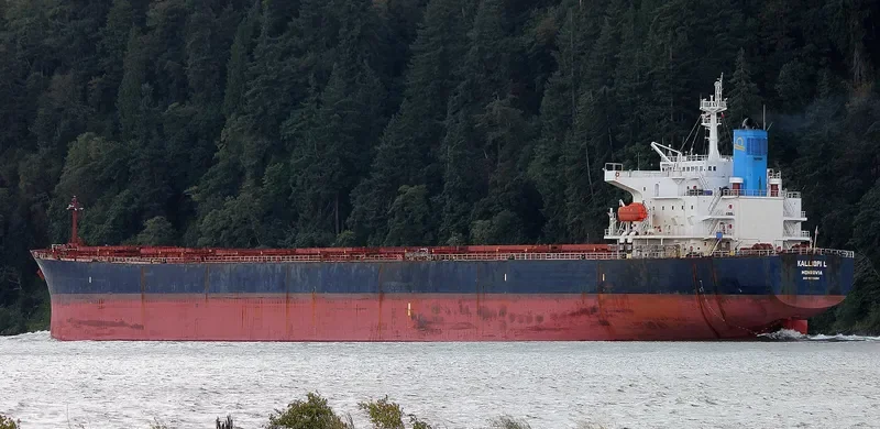 KALLIOPI L Bulk Carrier IMO 9233284