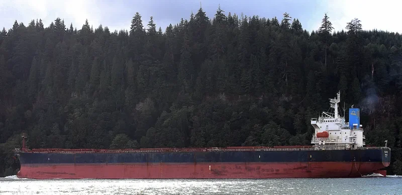 KALLIOPI L Bulk Carrier IMO 9233284 photo 2