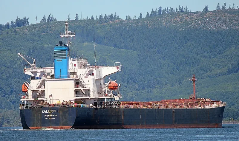 KALLIOPI L Bulk Carrier IMO 9233284 photo 3