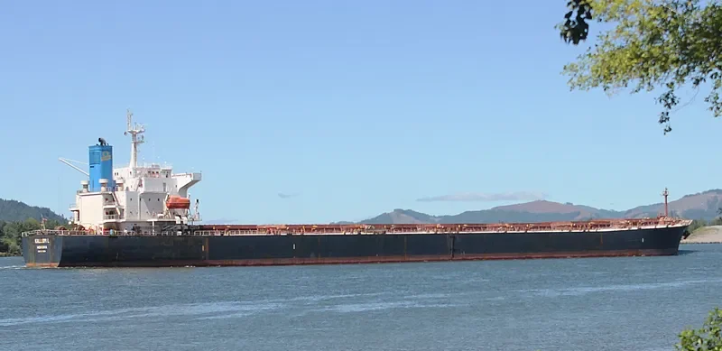 KALLIOPI L Bulk Carrier IMO 9233284 photo 4