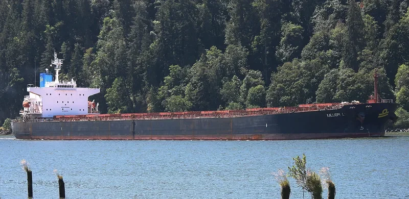 KALLIOPI L Bulk Carrier IMO 9233284 photo 5