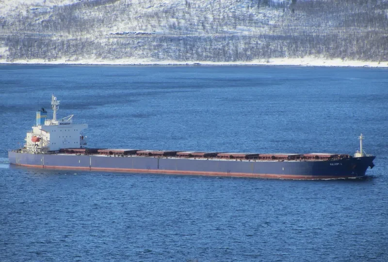 KALLIOPI L Bulk Carrier IMO 9233284 photo 8