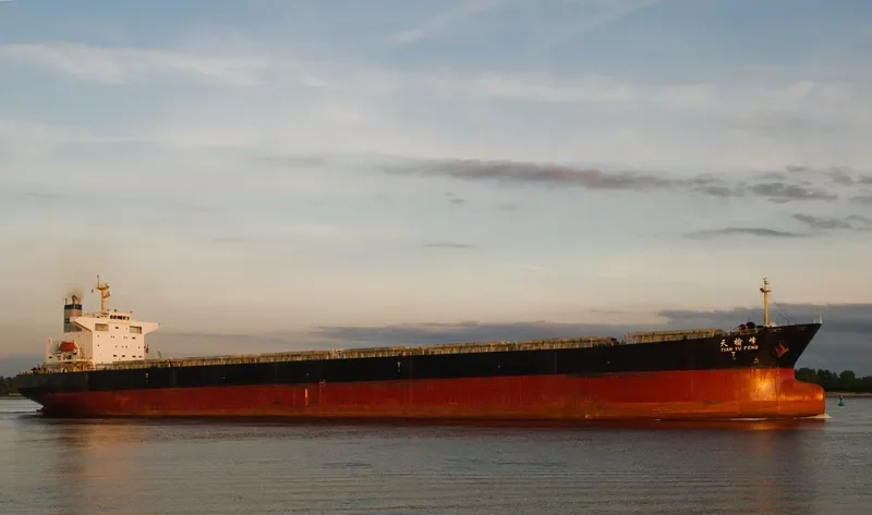 TIAN YU FENG Bulk Carrier IMO 9233351 photo 3