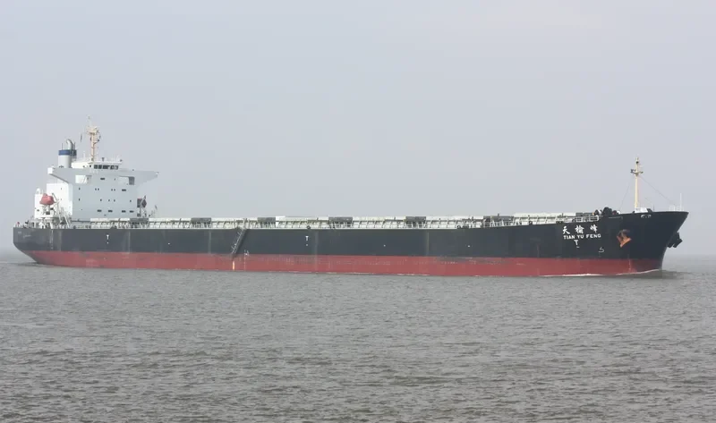 TIAN YU FENG Bulk Carrier IMO 9233351 photo 4