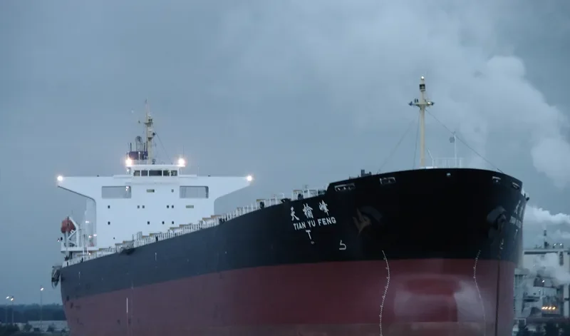 TIAN YU FENG Bulk Carrier IMO 9233351 photo 6