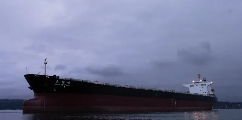 TIAN YU FENG Bulk Carrier IMO 9233351 photo 7