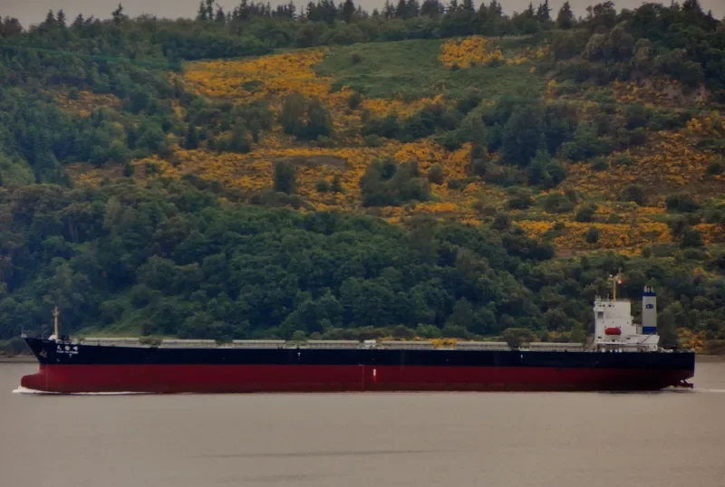 TIAN YU FENG Bulk Carrier IMO 9233351 photo 8