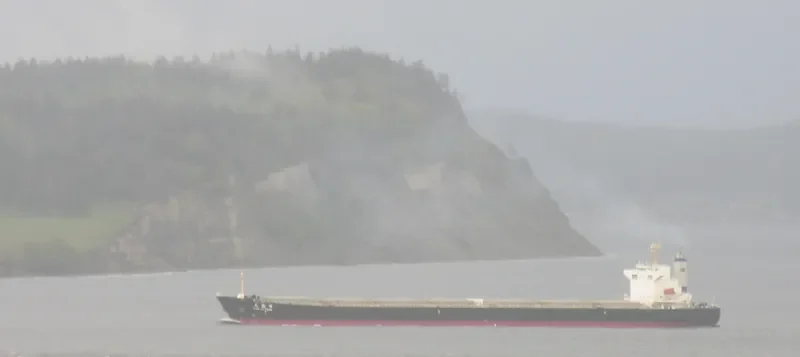 TIAN YU FENG Bulk Carrier IMO 9233351 photo 10
