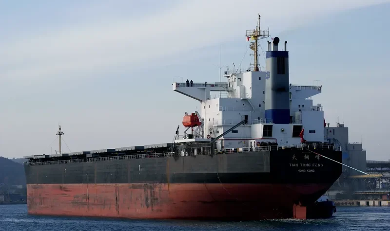 TIAN TONG FENG Bulk Carrier IMO 9233363 photo 2