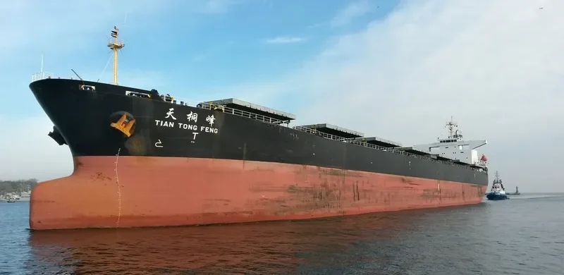 TIAN TONG FENG Bulk Carrier IMO 9233363 photo 4