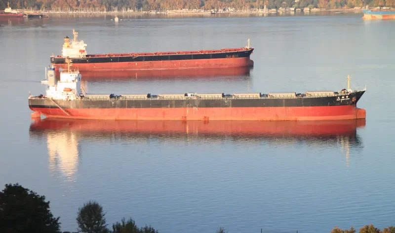 TIAN TONG FENG Bulk Carrier IMO 9233363 photo 5