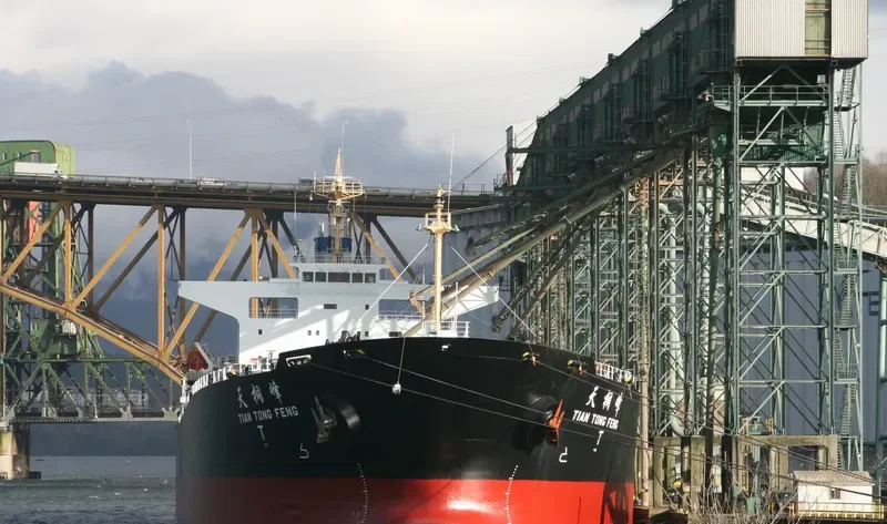 TIAN TONG FENG Bulk Carrier IMO 9233363 photo 8