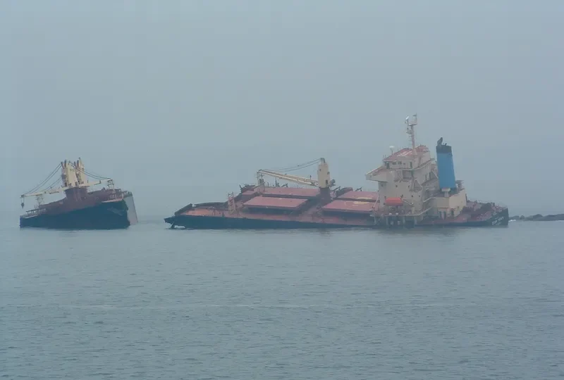 OCEAN SERAYA Bulk Carrier IMO 9233375 photo 2