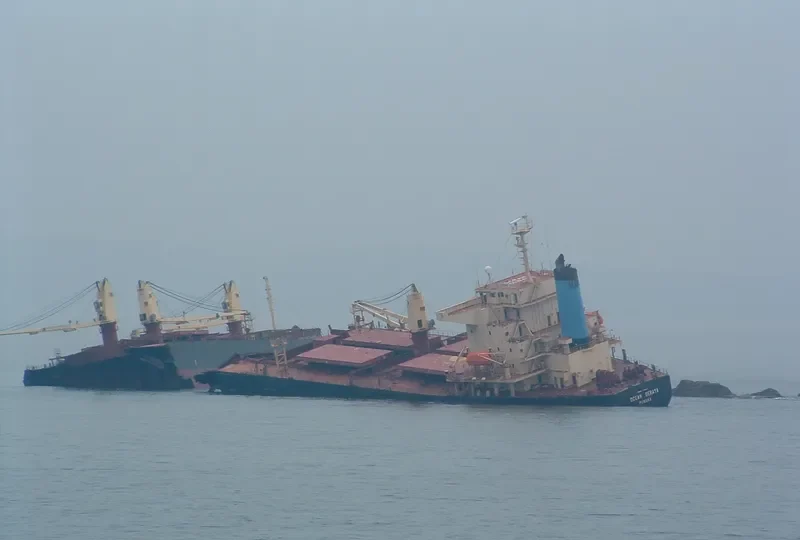 OCEAN SERAYA Bulk Carrier IMO 9233375 photo 3