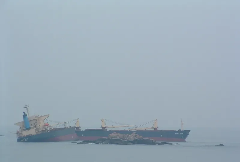 OCEAN SERAYA Bulk Carrier IMO 9233375 photo 4