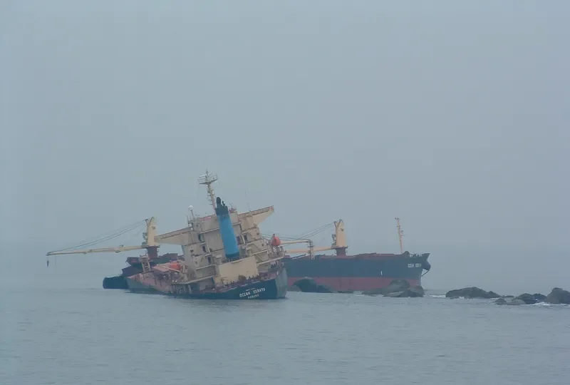 OCEAN SERAYA Bulk Carrier IMO 9233375 photo 6