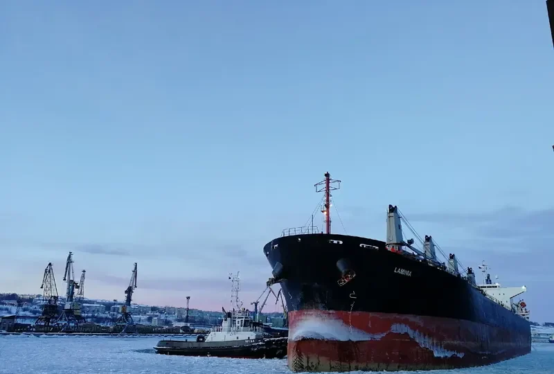 JUN YU Bulk Carrier IMO 9233399 photo 2