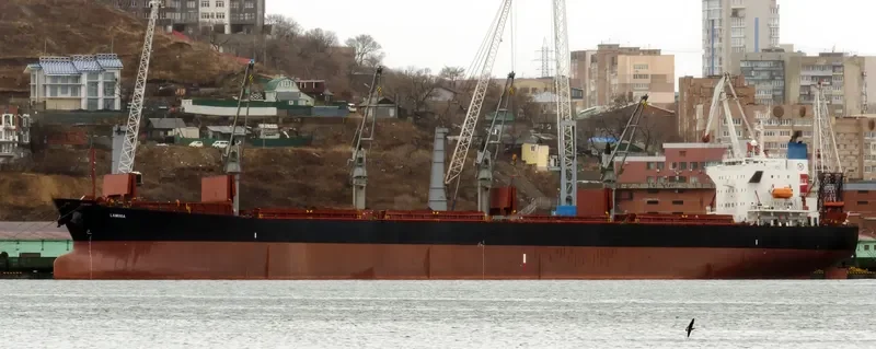 JUN YU Bulk Carrier IMO 9233399 photo 5