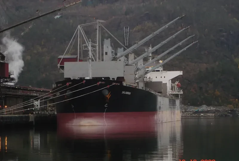 JUN YU Bulk Carrier IMO 9233399 photo 9