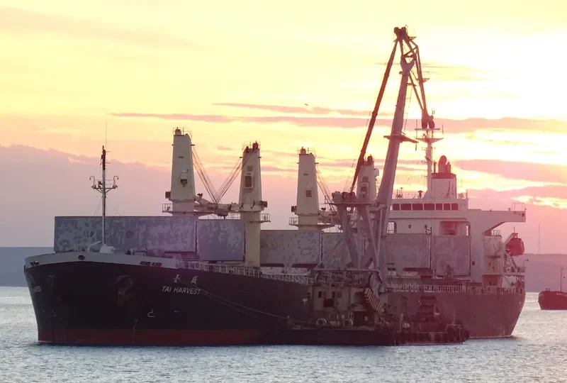 LOFTY MOUNTAIN Bulk Carrier IMO 9233428 photo 2