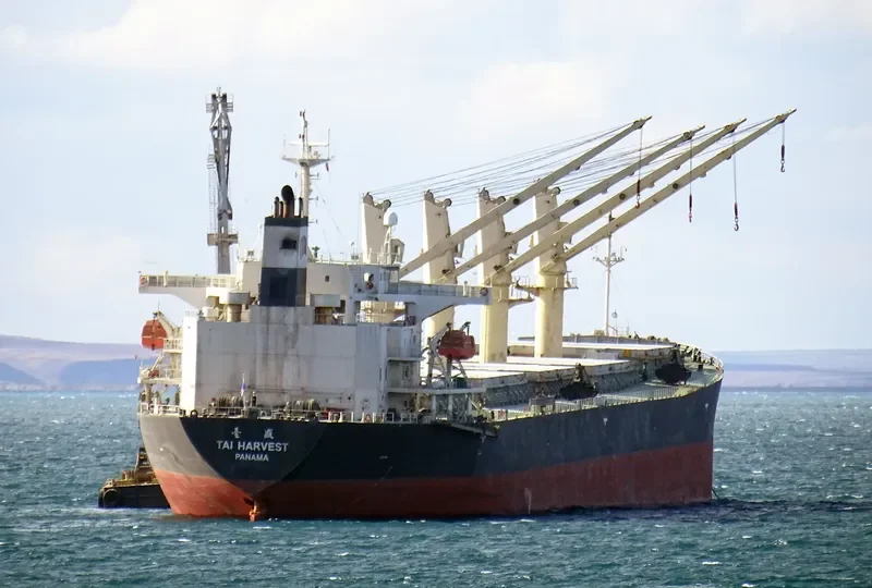 LOFTY MOUNTAIN Bulk Carrier IMO 9233428 photo 3