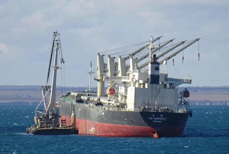 LOFTY MOUNTAIN Bulk Carrier IMO 9233428 photo 4