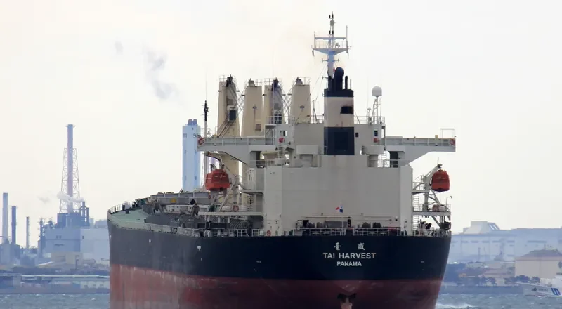 LOFTY MOUNTAIN Bulk Carrier IMO 9233428 photo 5