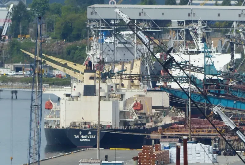 LOFTY MOUNTAIN Bulk Carrier IMO 9233428 photo 8