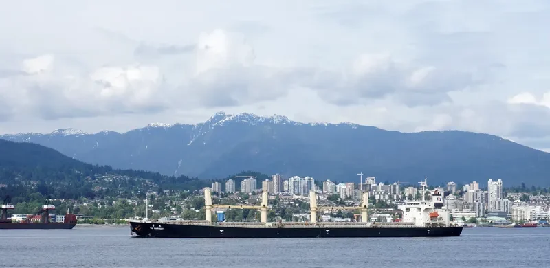 LOFTY MOUNTAIN Bulk Carrier IMO 9233428 photo 9