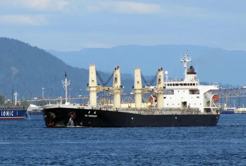 LOFTY MOUNTAIN Bulk Carrier IMO 9233428 photo 10