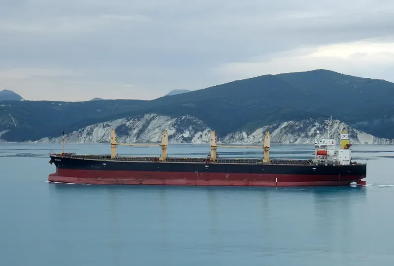 IRAKLIS Bulk Carrier IMO 9233430 photo 2