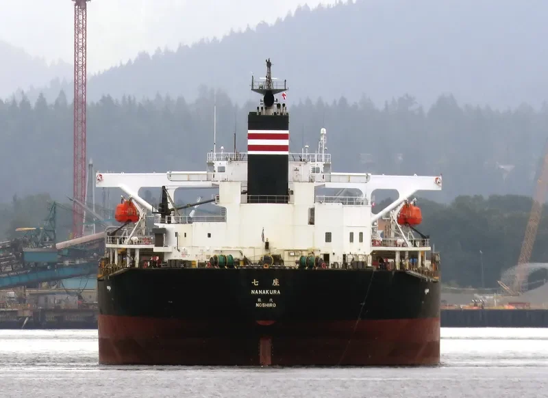 AMANAH MOROWALI AMC Bulk Carrier IMO 9233478 photo 3