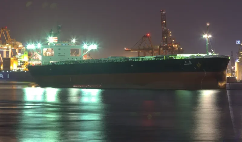 AMANAH MOROWALI AMC Bulk Carrier IMO 9233478 photo 4