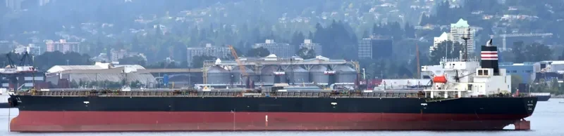 AMANAH MOROWALI AMC Bulk Carrier IMO 9233478 photo 5